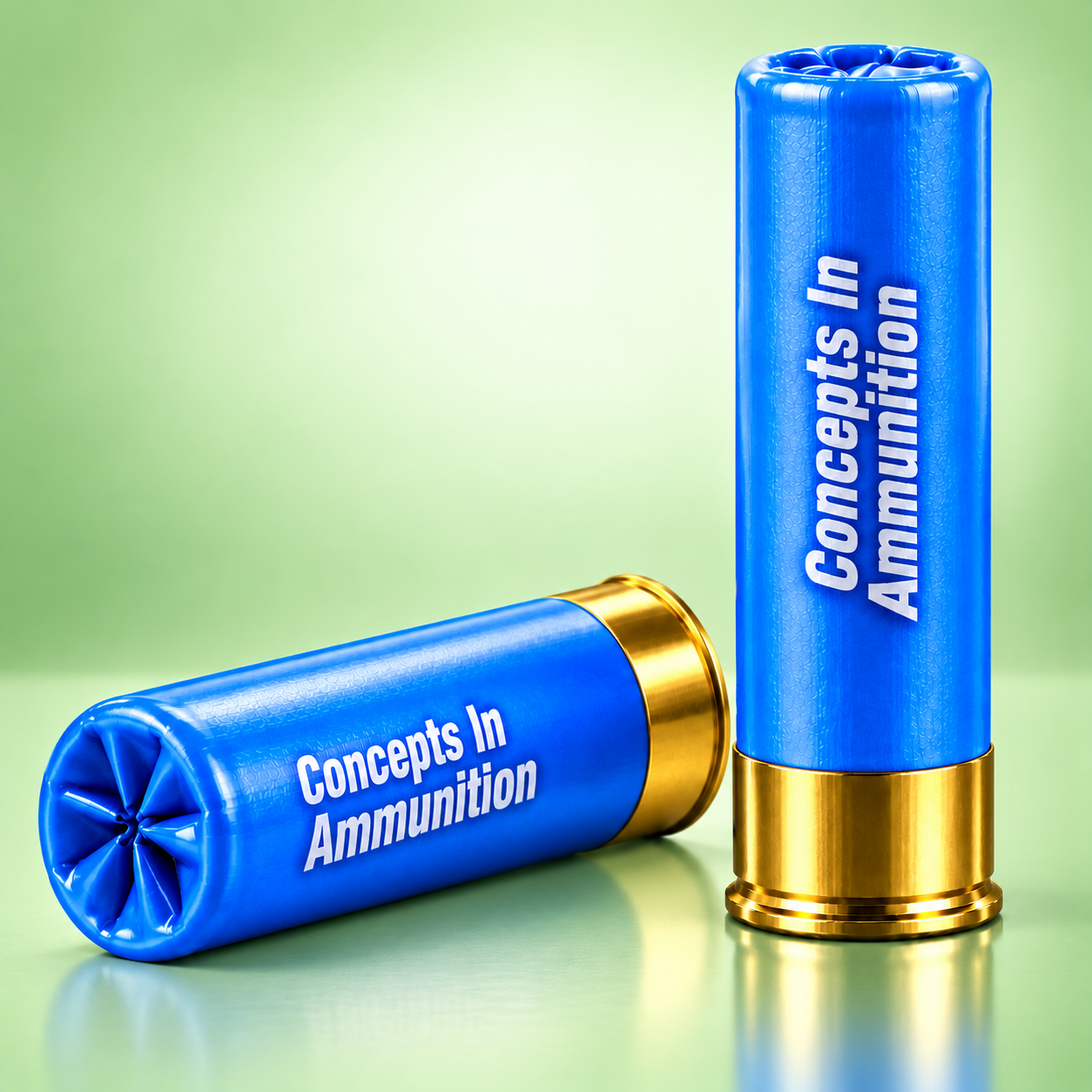 12 Gauge Less Lethal ammunition